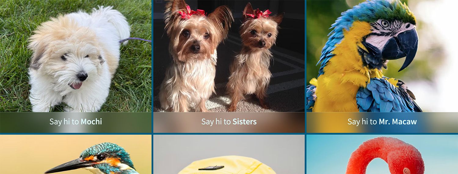 How to Implement an Image Gallery Using Baseline Features | OddBird
